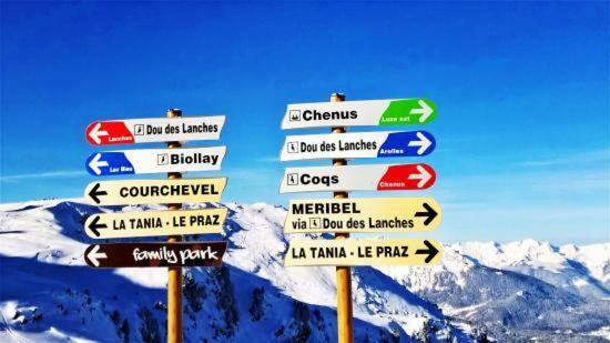 Appartement La Tania 2 Pieces Garage Dans Chalet Pied Pistes エクステリア 写真