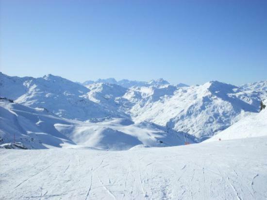Appartement La Tania 2 Pieces Garage Dans Chalet Pied Pistes エクステリア 写真